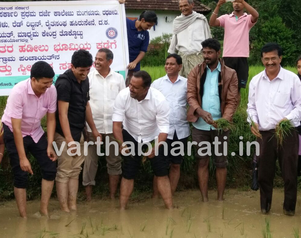 ಗದ್ದೆಗಿಳಿದು ನೇಜಿ ನೆಟ್ಟ ಸಚಿವ ಯು.ಟಿ.ಖಾದರ್..!